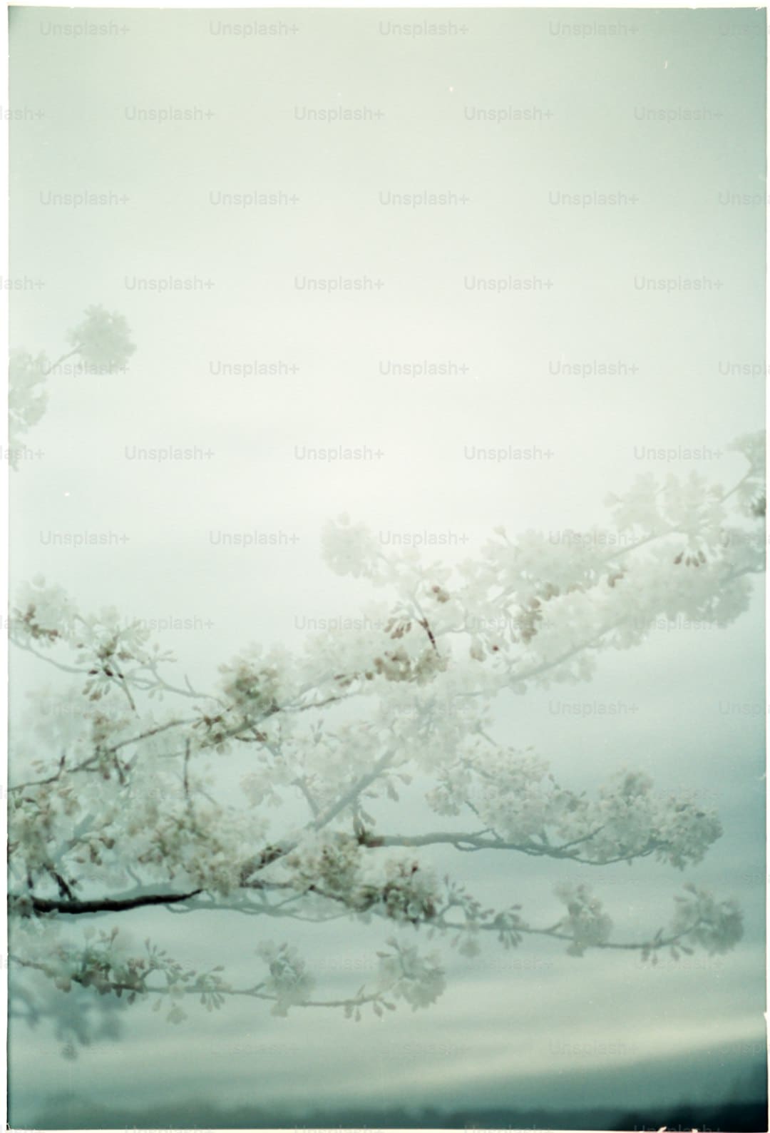 http://n.sinaimg.cn/news/transform/w600h400/20180314/zx1E-fysfzei9581472.jpg?zdy